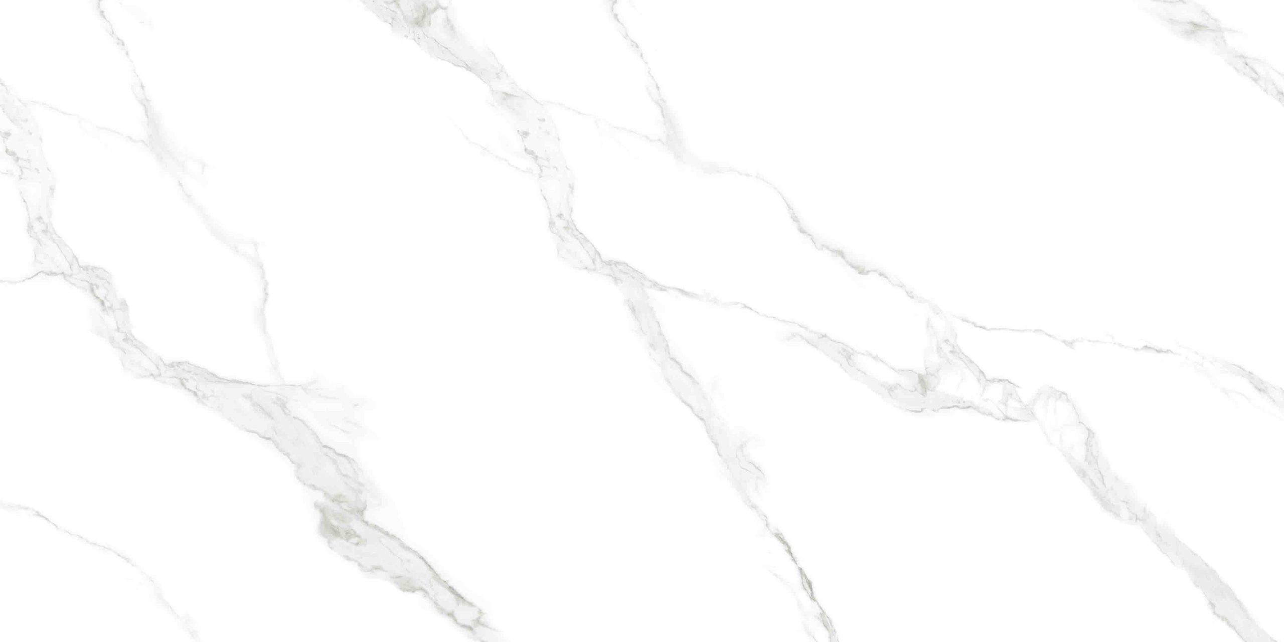 Premium Calacatta Bianco 1200x2400 Slab Tiles Exporter and Supplier to Globally