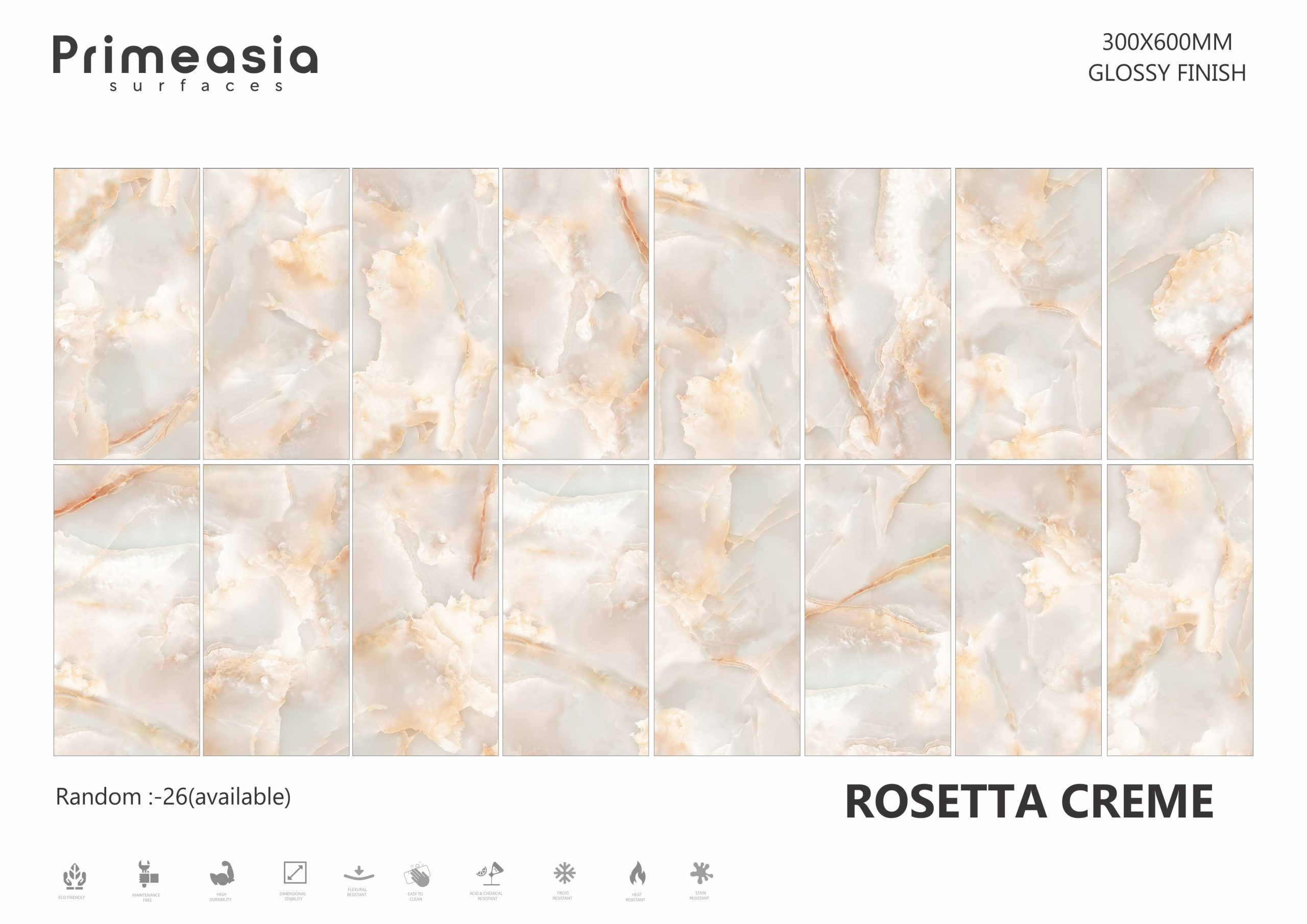 ROSETTA CREME_300X600 ceramics glazed porcelain tiles supplier from India