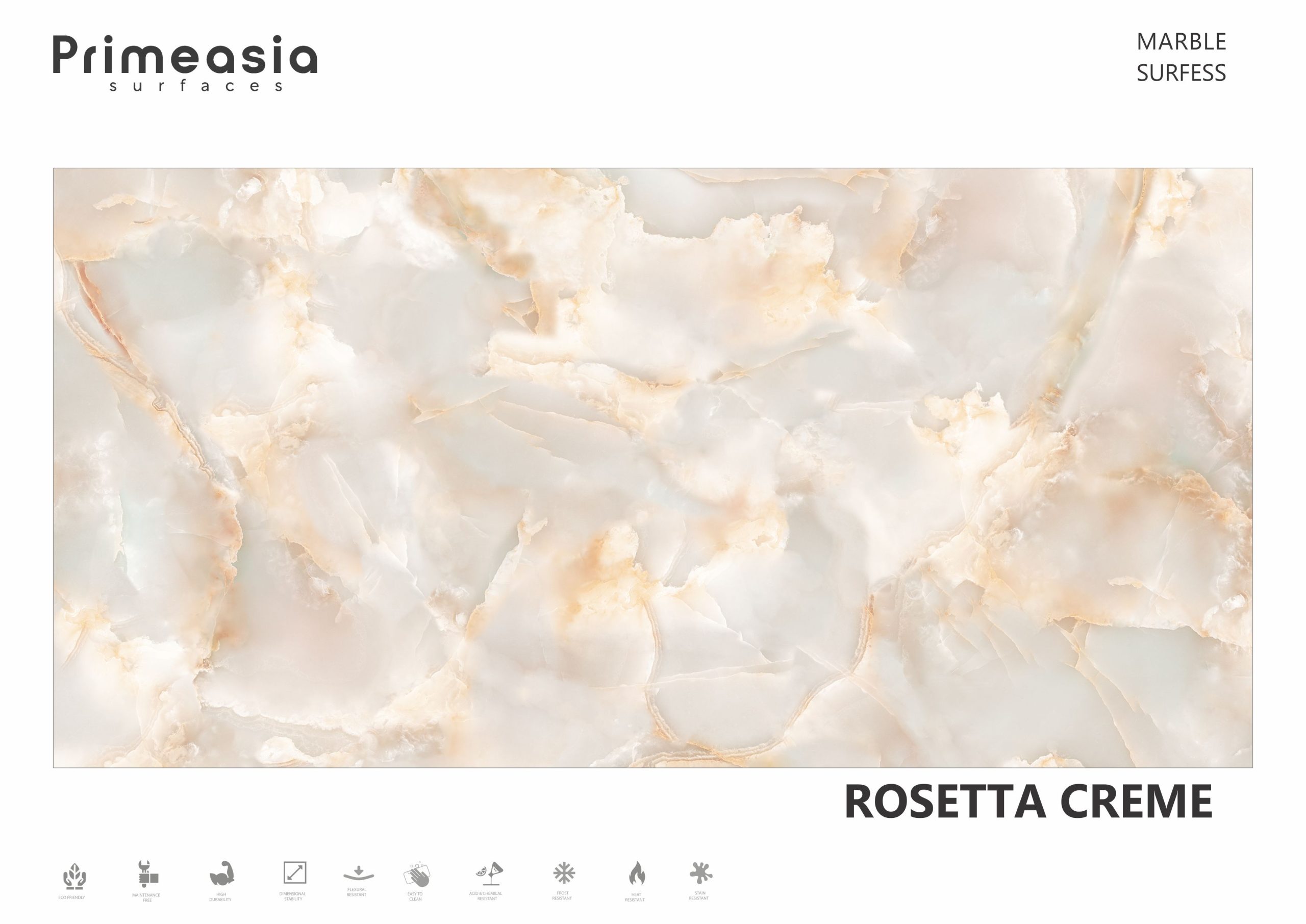 ROSETTA CREME_SURFESS ceramics glazed porcelain tiles store India